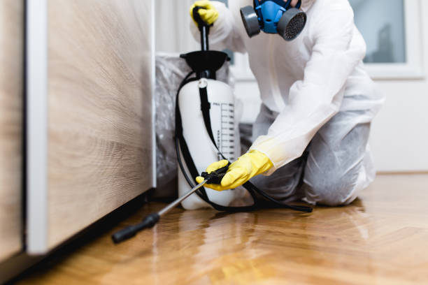 Best Pest Control Near Me  in Palisades Park, NJ
