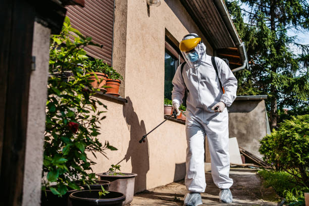 Best Pest Removal Services  in Palisades Park, NJ