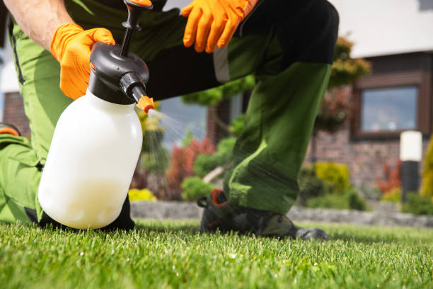 Wildlife Control Services in Palisades Park, NJ