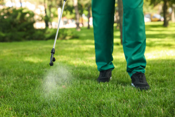 Best Mosquito Control Services  in Palisades Park, NJ