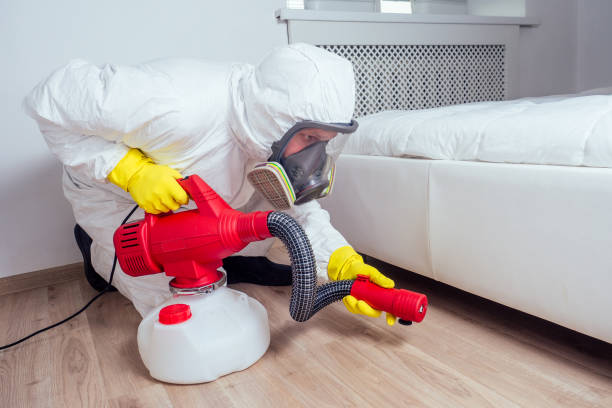 Best Best Pest Control Companies  in Palisades Park, NJ
