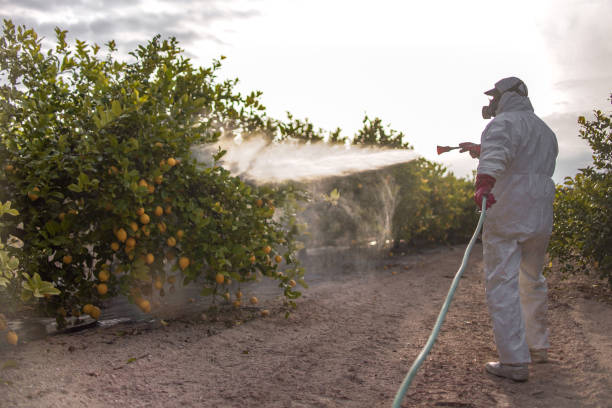 Best Exterminator Services  in Palisades Park, NJ