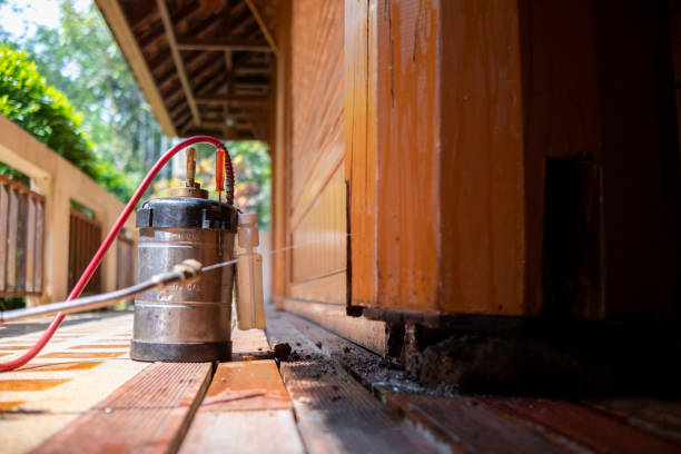 Wasp Removal Services in Palisades Park, NJ
