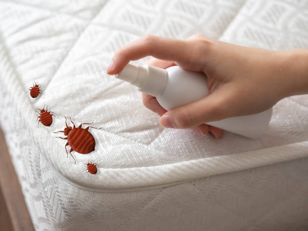 Best Insect Control  in Palisades Park, NJ