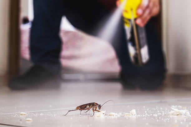 Best Emergency Pest Control  in Palisades Park, NJ
