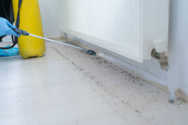 Best Rodent Control Near Me  in Palisades Park, NJ